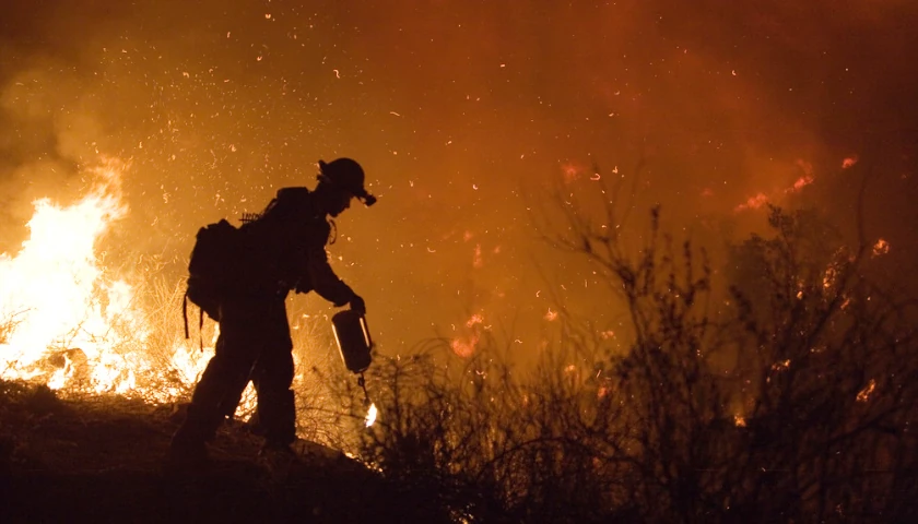 Legal Expert Mark Pulliam Details How President-Elect Trump Should Handle Relief Requests for Damages Caused by Los Angeles Wildfires